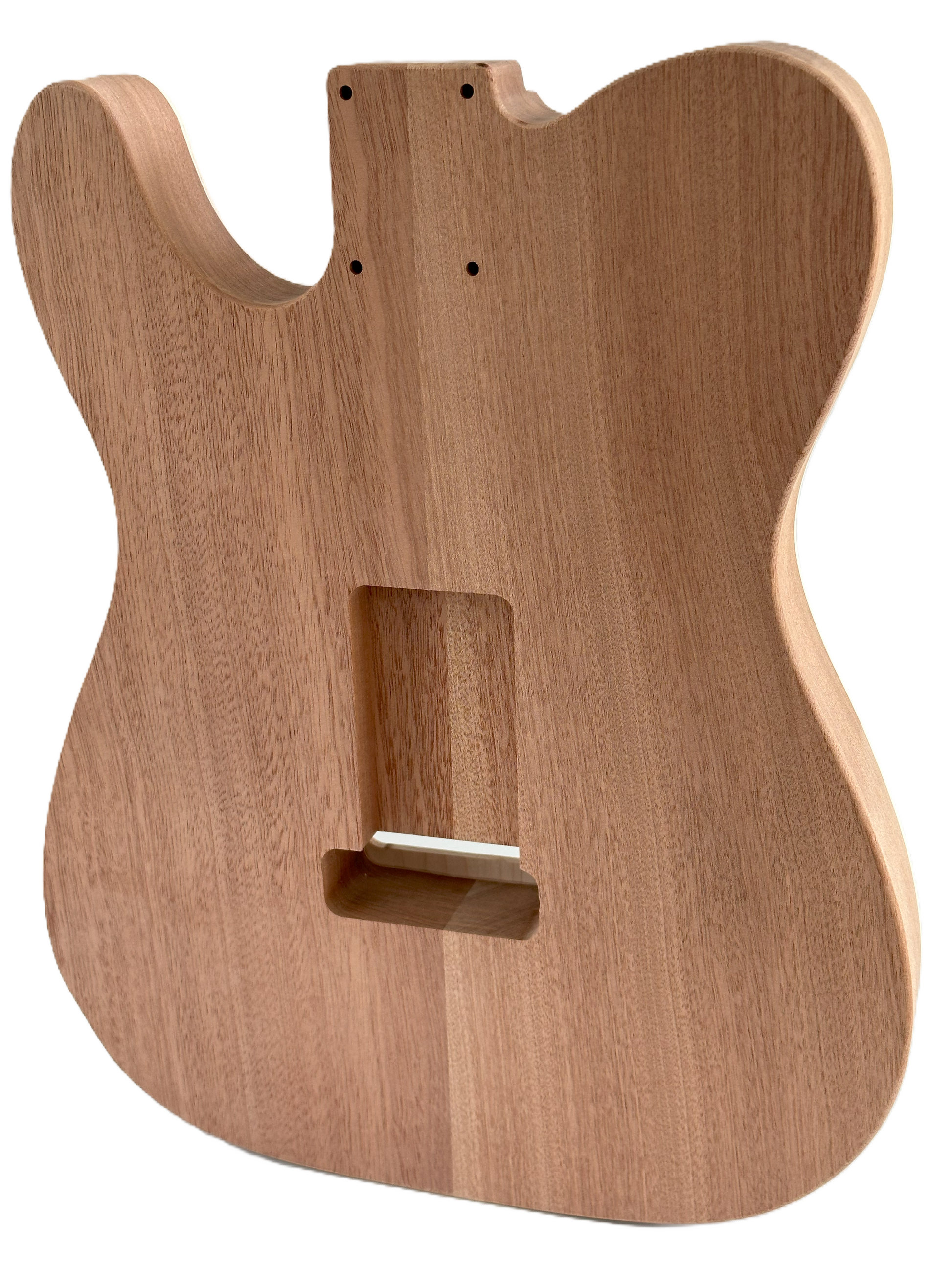 
Chambered T-Style Body Maple/Mahogany