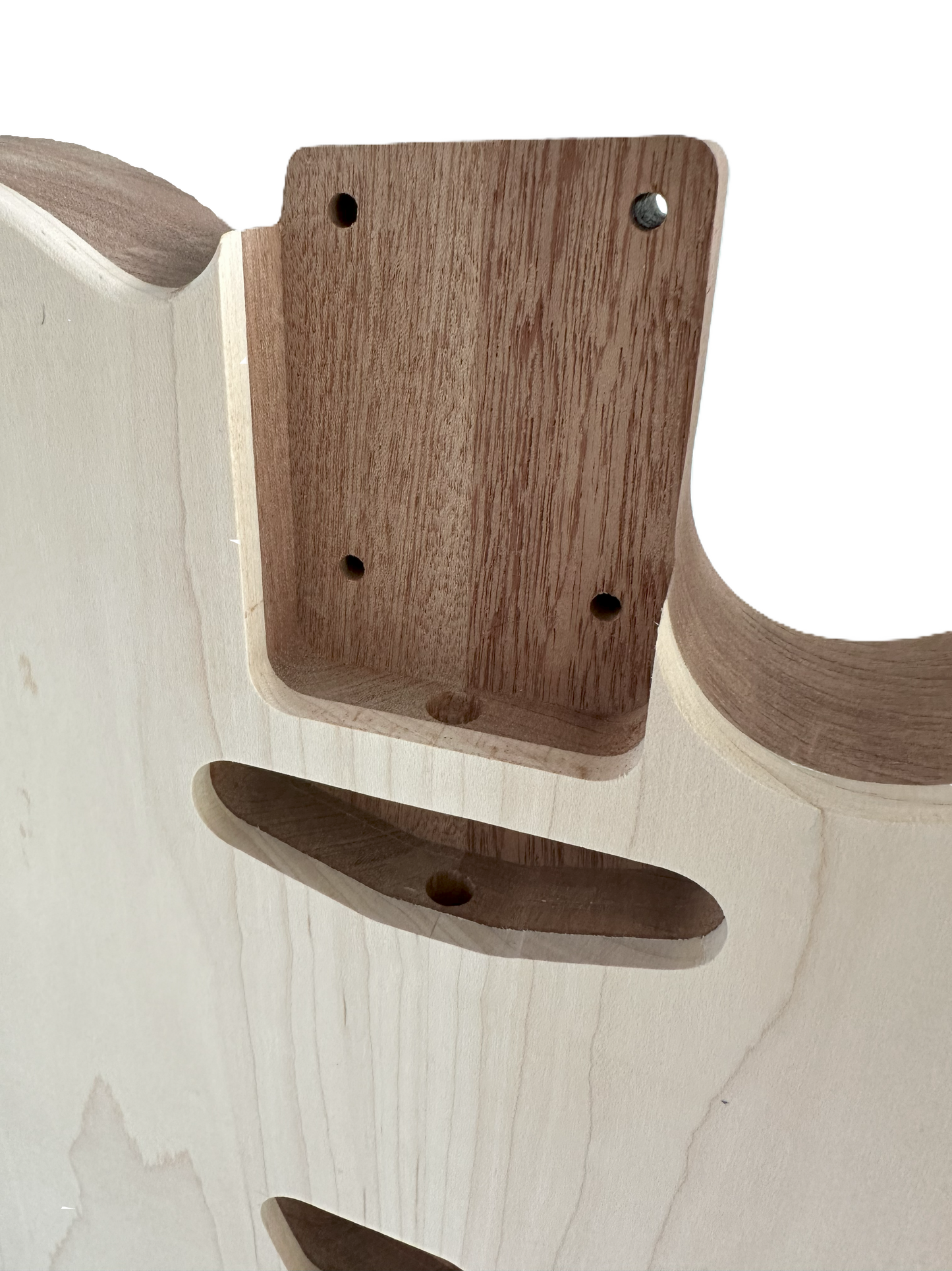 
Chambered T-Style Body Maple/Mahogany