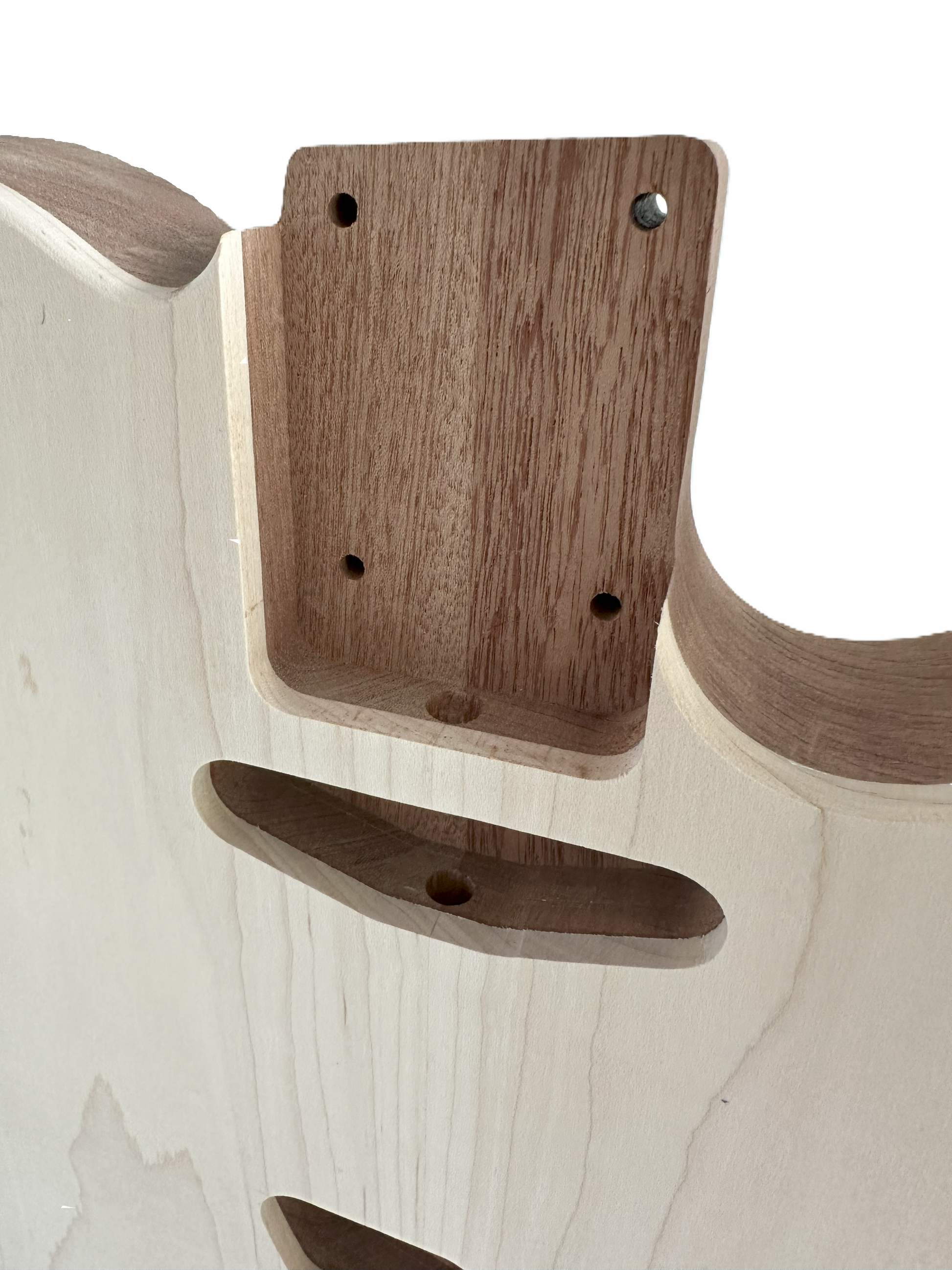 
Chambered T-Style Body Maple/Mahogany