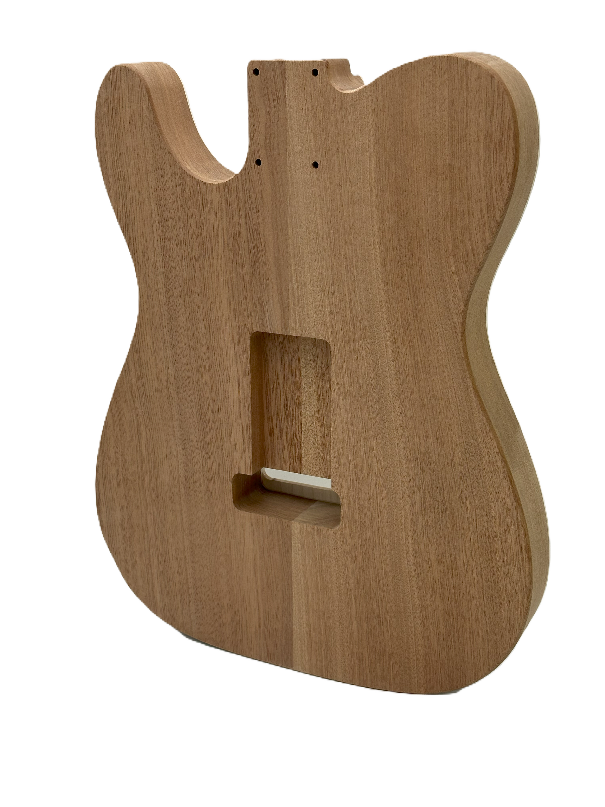 Chambered T-Style Body Maple/Mahogany